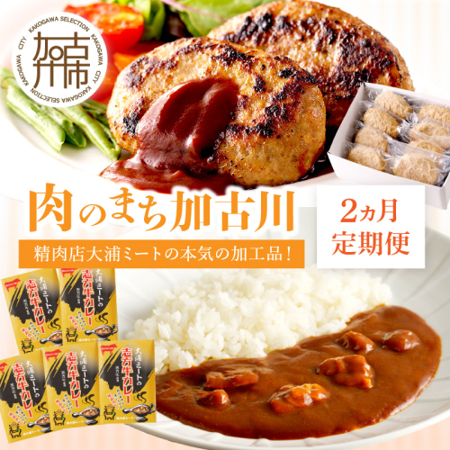 「肉のまち加古川」精肉店大浦ミートの本気の加工品！《 ハンバーグ カレー 定期便 惣菜 簡単調理 手軽 おかず 》【2501I00201】 2282290 - 兵庫県加古川市