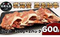 焼き肉用　黒毛和牛 300g×2パック　計600g【冷凍　牛肉　焼肉　ビーフ　BBQ　バーベキュー　北海道　十勝】(AQ0003)