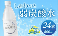 しゅわっと弱炭酸水 [A-030026] / 炭酸 炭酸水 水 微炭酸 24本 1ケース 500ml ペットボトル 飲料水 みず 北陸 飲料 無糖 軟水 ダイエット 福井県 福井市 ウォーター ローヤルさわやか