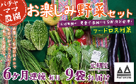 【 訳あり 】【 6ヶ月連続お届け 】 お楽しみ野菜セット （ 9袋 ）【 フードロス対策 】【 野菜 詰め合わせ お任せ 訳あり フードロス 季節物 セット 山芋 パセリ かぶ 人参 里芋 たまねぎ 玉ねぎ ルッコラ ほうれん草 春菊 大根 芽キャベツ レタス じゃがいも さつまいも とうもろこし そら豆 枝豆 パクチー ビーツ ほうれん草 キャベツ ピーマン なすトマト かぼちゃ 】