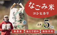 【11月発送】茨城県下妻市産 なごみ米（ コシヒカリ ） 玄米 5kg　【 お米 コシヒカリ 米 無農薬 無化学肥料 無除草剤 玄米 自然 農法 茨城県産 】