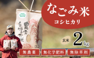 【11月発送】茨城県下妻市産 なごみ米（ コシヒカリ ） 玄米 2kg　【 お米 コシヒカリ 米 無農薬 無化学肥料 無除草剤 玄米 自然 農法 茨城県産 】
