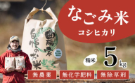 【12月発送】茨城県下妻市産 なごみ米（ コシヒカリ ） 精米 5kg 【 お米 コシヒカリ 米 無農薬 無化学肥料 無除草剤 精米 自然 農法 茨城県産 】
