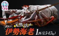 【訳アリ】特大 天然活き〆 福えび 1匹（1.5kg〜1.7kg） | 急速 冷凍 海鮮 魚介類 お正月 お祝い いせえび イセエビ 福島県 いわき市 ふるさと納税 | MF002-m