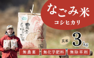 【12月発送】茨城県下妻市産 なごみ米（ コシヒカリ ） 玄米 3kg　【 お米 コシヒカリ 米 無農薬 無化学肥料 無除草剤 玄米 自然 農法 茨城県産 】