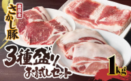 鹿屋産 さかし豚 3種盛り お試しセット 1kg【3月お届け】　KN079-008-3