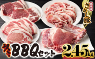 鹿屋産豚 BBQセット 計2.45kg【2月お届け】　KN079-014-2