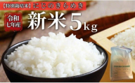 お米 令和7年産 新米 5kg にじのきらめき 特別栽培米 先行予約 [2025年10月以降発送] 精米 米 こめ コメ 白米 ごはん ライス 愛媛 伊予市|