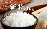 お米 令和7年産 新米 5kg ヒノヒカリ 特別栽培米 先行予約 [2025年11月以降発送] 精米 米 こめ コメ 白米 ごはん ライス 愛媛 伊予市|