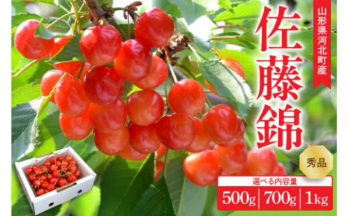 選べる内容量！【令和8年産】さくらんぼ 佐藤錦 500g/700g/1kg L玉以上 秀品 山形県産【山形eLab】フルーツ 人気 贈答 ふるさと納税 河北町 2026年産 2283227 - 山形県河北町