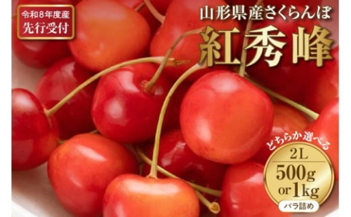 選べる内容量！【2026年産先行予約】さくらんぼ紅秀峰 秀2L 1kg/500g 秀品 2Lサイズ 山形県河北町産【晴天畑】 さくらんぼ 山形県 ふるさと納税 大粒 紅秀峰 贈答 ギフト 2283229 - 山形県河北町