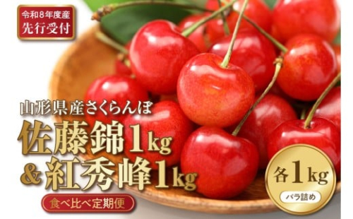 【2026年産先行予約】さくらんぼ食べ比べ2回定期便 「佐藤錦」と「紅秀峰」 各1kg(500g×2） 山形県河北町産 【晴天畑】 さくらんぼ 贈答 ギフト 秀品 先行予約 食べ比べ 令和8年産  ka073-011 2283230 - 山形県河北町