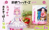 前橋ウィッチーズ コラボ返礼品　ユイナのあまずっぱ～い甘梅