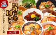 ＼10営業日以内発送／ 漬丼 厳選 活締め 全15種  お任せ 漬け丼 10食 セット 南予ビージョイ 真鯛 鰤 シマアジ カンパチ ヒラマサ ヒラメ アジ サーモン メバチマグロ サワラ 太刀魚 チダイ イトヨリダイ イサキ ヤリイカ 食べ比べ づけ丼 人気 加工品 新鮮 水産品 漬け 刺身 海鮮 海鮮丼 数量限定 愛媛 宇和島 D017-150021