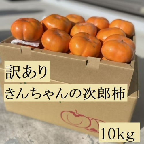 柿づくり40年以上　きんちゃん農園の訳あり次郎柿　10kg　KCN-03 2283490 - 三重県多気町