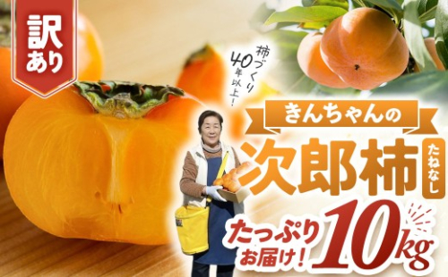 柿づくり40年以上　きんちゃん農園の訳あり次郎柿　10kg　KCN-03 2283490 - 三重県多気町