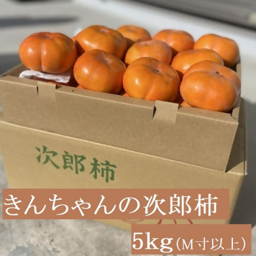 柿づくり40年以上　きんちゃん農園の次郎柿　5kg　KCN-01 2283491 - 三重県多気町
