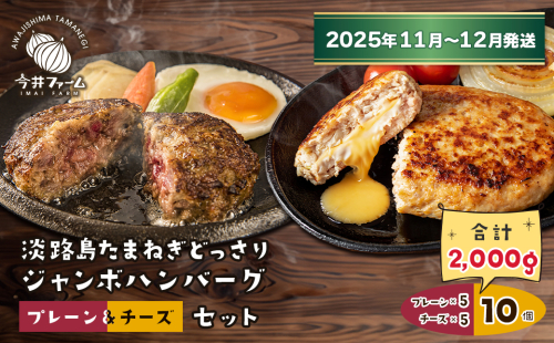 淡路島たまねぎどっさりジャンボハンバーグ プレーン＆チーズセット 200g×10個【2025年11月～12月発送】 2283677 - 兵庫県淡路市
