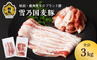 雪乃国麦豚 豚バラスライス 豚ウデ切り落としセット 合計 3kg ●2025年9月上旬発送開始【恋する鹿角カンパニー】 豚肉 豚 100g 小分け 真空 パック 便利 簡単調理 3kg 麦豚 甘い 脂 ブランド豚 秋田 あきた 鹿角市 鹿角 送料無料