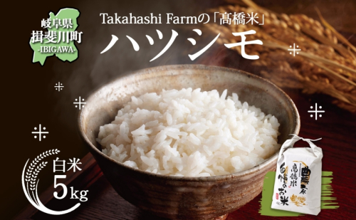 ＜ R8年産 先行予約 ＞米 ハツシモ 「高橋米」 白米 5kg×1袋 令和8年産 5キロ お米 精米 ご飯 はつしも ブランド米 大粒 炊飯 お弁当 ふっくら お取り寄せ 送料無料 Takahashi Farm 岐阜県 揖斐川町 2284145 - 岐阜県揖斐川町