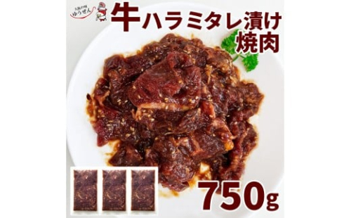 堺の技が光る牛ハラミたれ漬け　750ｇ 2284218 - 大阪府堺市