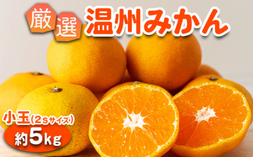 みかん 温州みかん 厳選 5kg 小玉 2Sサイズ 小玉みかん｜GOGO農園 和歌山県 日高川町 みかん 小玉 柑橘類 うんしゅうみかん みかん 柑橘 蜜柑 フルーツ 送料無料 2284221 - 和歌山県美浜町