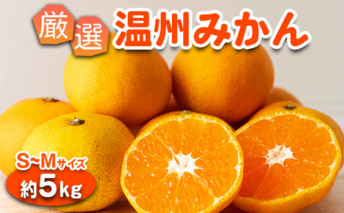 みかん 温州みかん 厳選 5kg S-M サイズ｜GOGO農園 和歌山県 日高川町 みかん 柑橘類 うんしゅうみかん みかん 柑橘 蜜柑 フルーツ 送料無料 2284225 - 和歌山県美浜町