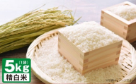 A239 【令和7年産】 ゆめぴりか （ 精白米 ） 栽培期間中農薬化学肥料不使用 5kg たかすタロファーム 北海道 鷹栖町 米 コメ こめ ご飯 お米 白米