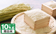 A242 【令和7年産】 ゆめぴりか （ 精白米 ） 栽培期間中農薬化学肥料不使用 5kg×2袋 たかすタロファーム 北海道 鷹栖町 米 コメ こめ ご飯 お米 白米