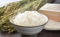 A248 【令和7年産】 ゆめぴりか （ 精白米 ） 栽培期間中農薬化学肥料不使用 真空パック 24kg たかすタロファーム 北海道 鷹栖町 米 コメ こめ ご飯 お米 白米