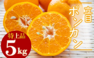 【2026年2月より発送】高知県産 立目ぽんかん 5kg 贈答用 特上品 みかん 須崎市 KJS001_2x
