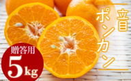 【2026年2月より発送】高知県産 立目ぽんかん 5kg 贈答用 優品 みかん 須崎市 KJS002_3x