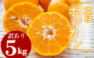 【2026年2月より発送】訳あり ぽんかん 5kg 特上品 贈答用 大小混合品 高知県産 立目ぽんかん 果物 フルーツ ボンカン 果樹園 さかもと  柑橘 みかん ミカン 有機肥料 主体 低農薬 KJS025