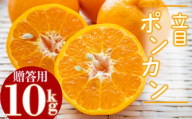 【2026年2月より発送】高知県産 立目 ぽんかん みかん 柑橘 特上品 10kg 優品 国産 ブランド 高知 ビタミン 生産者 産地 KJS016_x