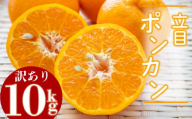【2026年2月より発送】高知県産 立目 ぽんかん みかん 柑橘  訳あり 10kg 特上品 贈答用大小混合品 KJS028