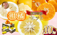 定期便 3回 限定20セット ポンカン 土佐文旦 小夏 各 10kg 贈答用 須崎特産 みかん ミカン 立目ぽんかん 土佐文旦 ぶんたん 柑橘 贈り物 プレゼント 計 30kg 箱セット 季節限定 数量限定 時期限定 KJS14000