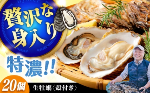【3月12日(金) 着】加熱用生牡蠣 殻付き 20個 広島県江田島市／有限会社テツマル海産[XCO006-047] 2284704 - 広島県江田島市