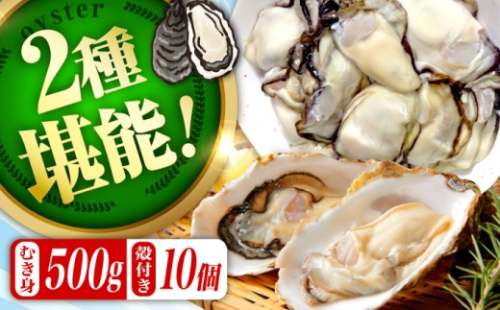 【1月31日(日) 着】加熱用生牡蠣 むき身500g＆殻付き20個 広島県江田島市／有限会社テツマル海産[XCO012-019] 2284979 - 広島県江田島市