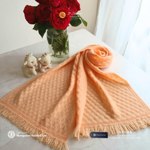 『Noble Fibre』100％カシミヤ・マフラー ベリーニ【高級 カシミア おしゃれ ファッション 防寒 かしみあ】 G3323 2286427 - 大阪府泉佐野市