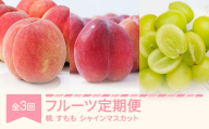 【先行予約】フルーツ定期便 全3回 白桃 すもも シャインマスカット 秀品 2026年産 令和8年産 ※沖縄・離島への配送不可 sb-fthps3-b