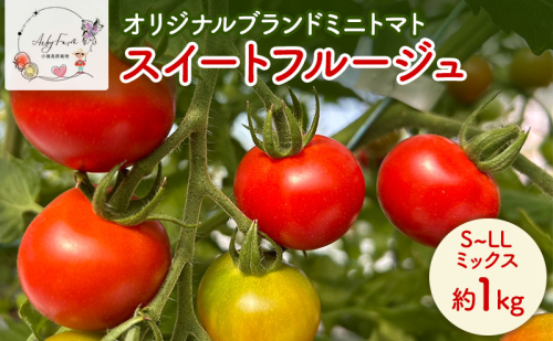スイートフルージュ 約1kg アイビーファーム ミニトマト 長野 信州 小諸 産地直送 2286588 - 長野県小諸市