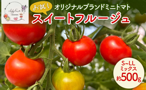 【お試し】 スイートフルージュ 約500g アイビーファーム ミニトマト 長野 信州 小諸 産地直送 2286590 - 長野県小諸市