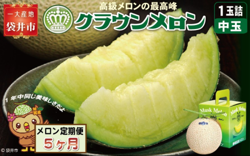 【5ヶ月定期便】クラウンメロン（白等級）中玉　1玉入 　果物 フルーツ デザート メロン マスクメロン 青肉 高級 ギフト 贈り物 静岡県産 袋井市 2286642 - 静岡県袋井市