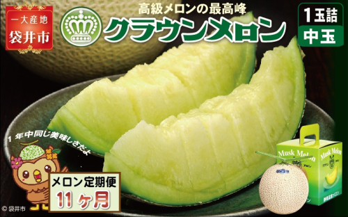【11ヶ月定期便】クラウンメロン（白等級）中玉　1玉入 　果物 フルーツ デザート メロン マスクメロン 青肉 高級 ギフト 贈り物 静岡県産 袋井市 2286648 - 静岡県袋井市