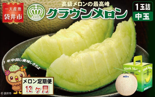 【12ヶ月定期便】クラウンメロン（白等級）中玉　1玉入 　果物 フルーツ デザート メロン マスクメロン 青肉 高級 ギフト 贈り物 静岡県産 袋井市 2286649 - 静岡県袋井市