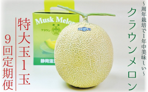 【9ヶ月定期便】クラウンメロン（白等級）特大玉　1玉入 　果物 フルーツ デザート メロン マスクメロン 青肉 高級 ギフト 贈り物 静岡県産 袋井市 2286654 - 静岡県袋井市