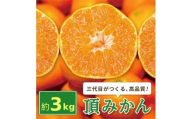 三代目がつくる高品質＜頂みかん＞3kg【1181950】