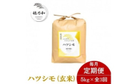 ＜発送月固定定期便＞＜先行予約＞岐阜県産ハツシモ(玄米)5kg全3回【4073954】