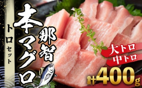 本マグロ トロセット 400g | 【年末年始お届け可能】大トロ 中トロ 鮪 刺身 寿司 お正月 2286880 - 和歌山県那智勝浦町
