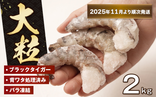 至福の大粒むきえび　背ワタ処理済 2kg（1kg×2袋）【2025年11月より順次発送】　ブラックタイガー 冷凍 ムキエビ  大型 海老 2286945 - 兵庫県淡路市